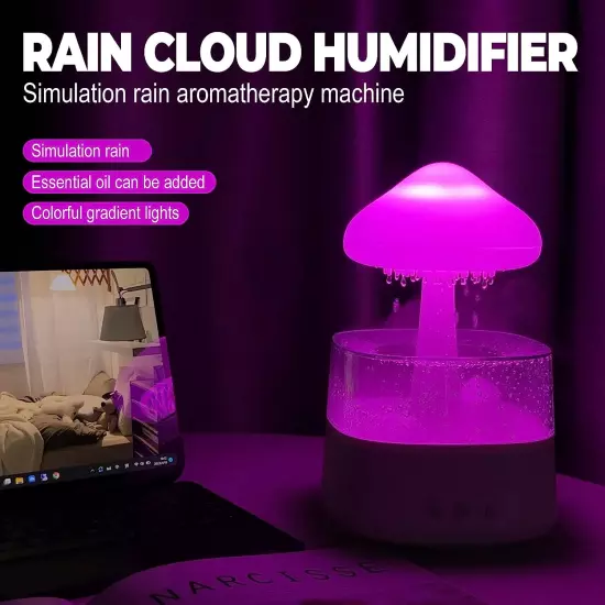 Rain Cloud Humidifier Water Drip with Adjustable LED Lights White Noise Humidifi