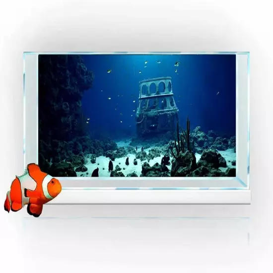 30X18IN Natural Underwater Aquarium Background, Pictures 3D Fish Reef Fish Ta...