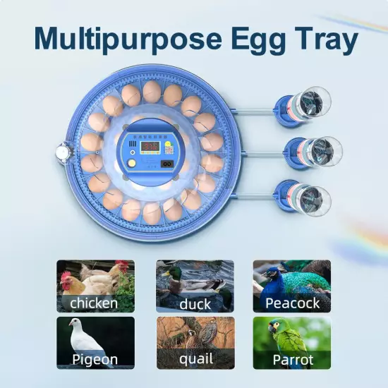 80 Egg Fully Automatic Incubator Hatching Machine Chicken Eggs Brooder Reservoir