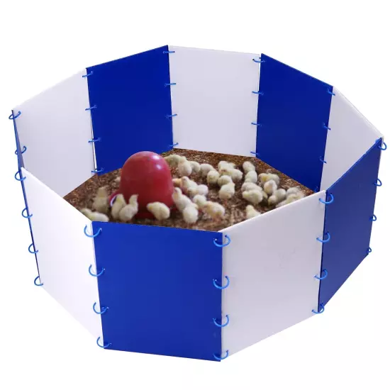 Chick Starter Kit Chicken Brooder Box for 15 Ducks Chicks Portable Coop & Chi...