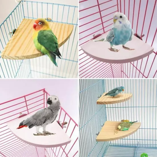 Bird Perch Stand Platform Toy, Natural Wood Parrot Perch Play Exercis X7S3