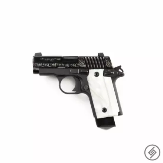 Fits Sig P238 Wall Mount (L) - Gun Rack - Pistol Display - Spartan Mount™