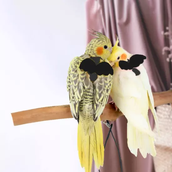 Pet Parrot Bird Harness and Leash Adjustable Training Design AntiBite Bird Ny