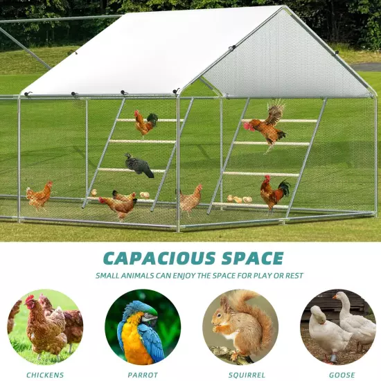 Chicken Perch, Chicken Coop Strong Roosting Bars, Large Chicken Roosting Ladder