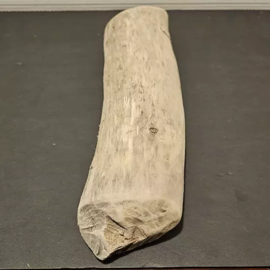 Driftwood For Aquarium, Terrarium, Crafting Beaver Chewed 17"X3"X3"