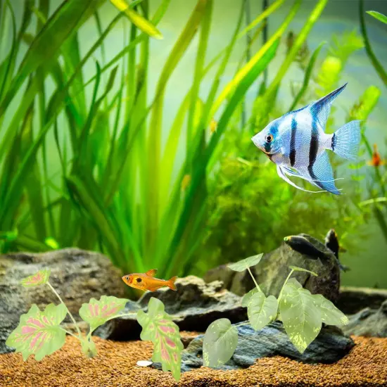 Artificial Plants Fish Tank Aquarium Grass Water Weeds Simulation Grass Decor F4