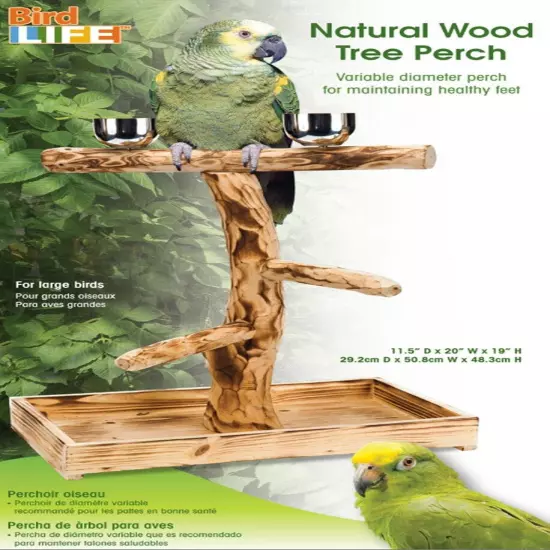 PENN-PLAX Bird-Life Natural Wood Tree Perch for Large Birds and Parrots – 