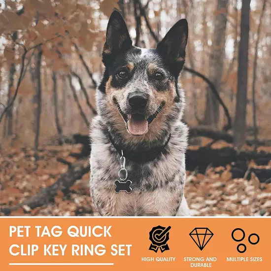 Dog Tag Clips with Keychains, Durable Dog ID Tag with Tag Rings Stainless Steel 