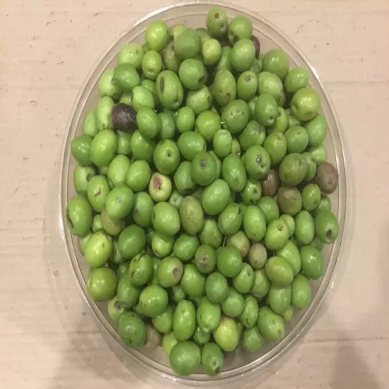 Olives 10 Ibs Bruised Manzanilla Olives Green Raw California Valley, for curing