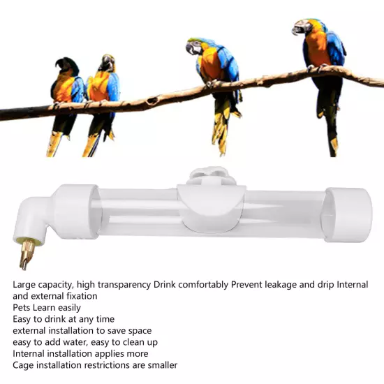 260ml Automatic Bird Water Feeder Needle Spout Large Capacity Leakproof`` Parrot