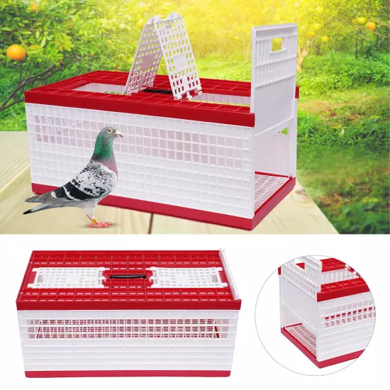 Racing Pigeon Carrier Box Bird Training Basket & 2 Side Doors 2 Top Doors Box US