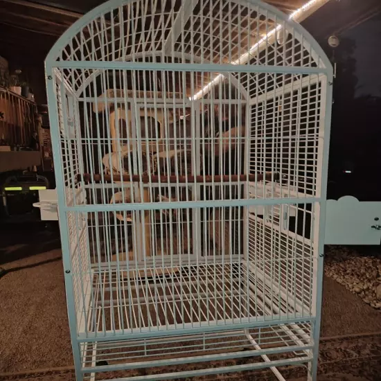 bird cage large