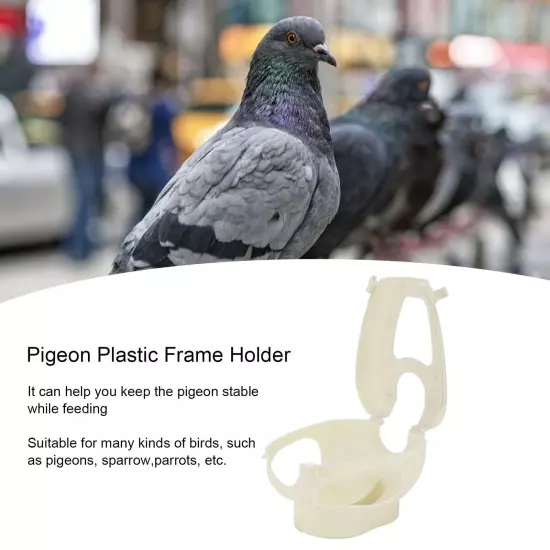 Pigeon Plastic Frame Holder Medicines Feeders Holder For Young Racing Pigeon