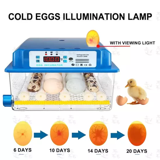 Egg Incubator Automatic Chicken Quail Chick Hatcher Incubators for Hatching Eggs