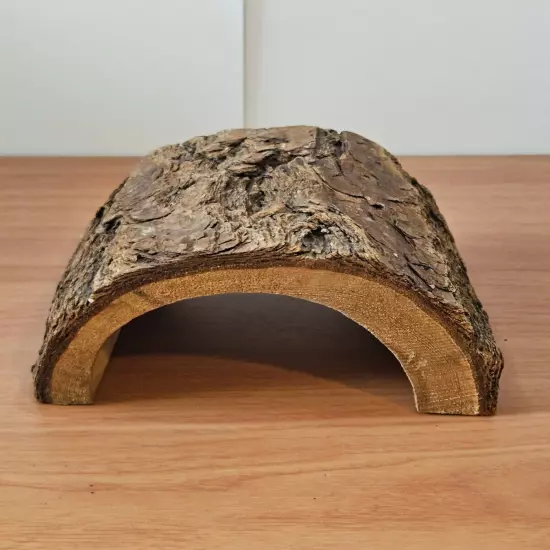 Aquarium Display Half Log