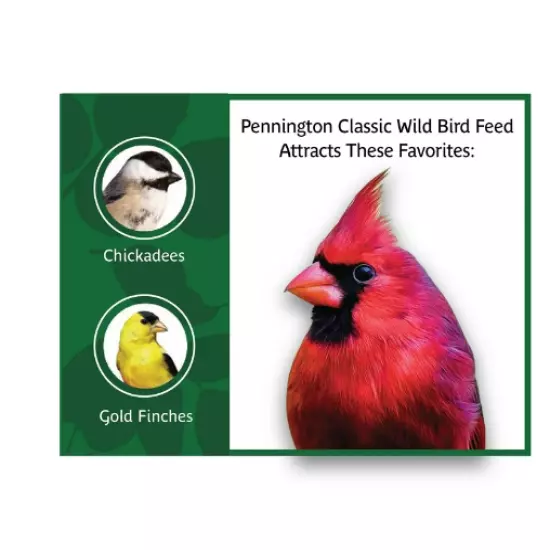 Pennington Classic Wild Bird Feed and Seed, 20 lb. Bag, Dry, 1 Pack