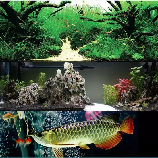 Aquarium Biochemical Bio Sponge Filter Practical Fish Tank Pond Foam Cotton