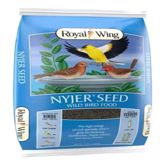 Nyjer Seed Wild Bird Food 8, 12, 25, or 50 LBS