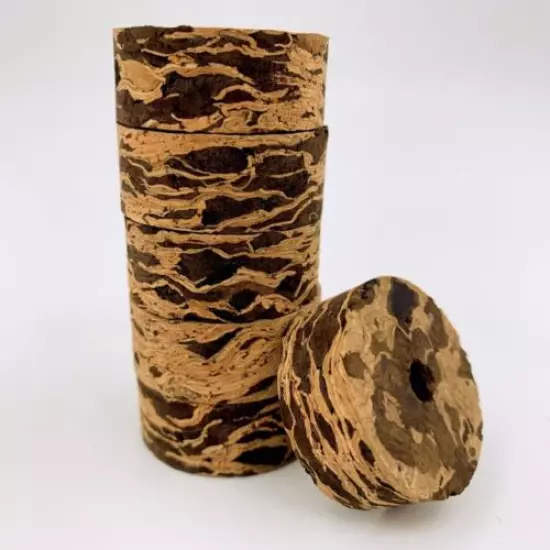 Cork Rings 36 Cactus Burl, 1 1/4" x 1/2" x 1/4" Hole | Premium Burl 