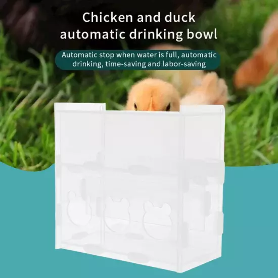 Luding Chicken Automatic Feeder Acrylic Automatic Feeder.