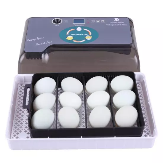 12 Eggs Fully Automatic Temperature Incubator Digital Poultry Chicken Duck Lamp