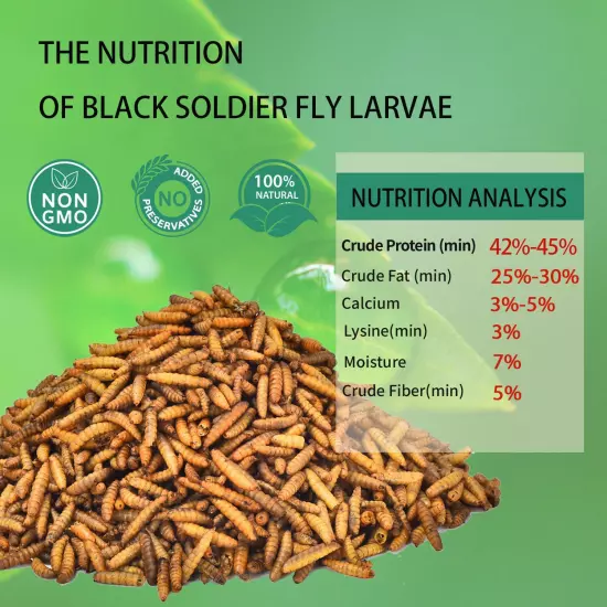 Dried Black Soldier Fly Larvae 10LB-Pure Natural Non-GMO BSF Larvae for Calcium