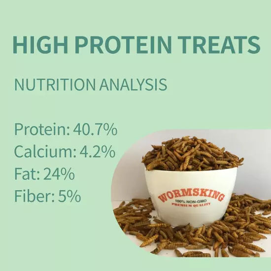 Non Gmo Dried Black Soldier Fly Larvae More Calcium than Dried Mealworms 5LB