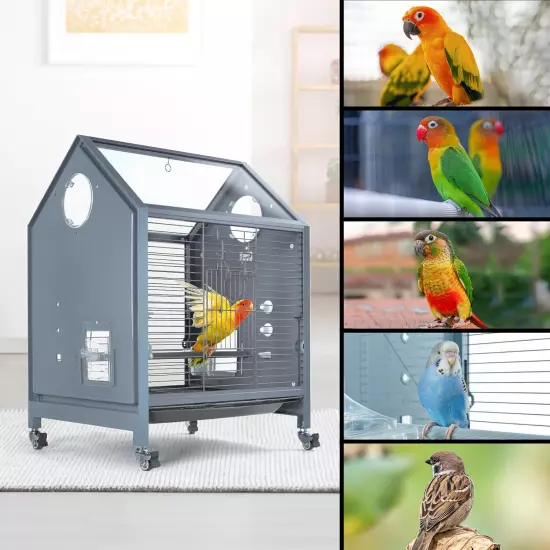 Acrylic Bird Cage, 25 Inch Medium Parrot Cage for Parakeet Cockatiel Conure L...