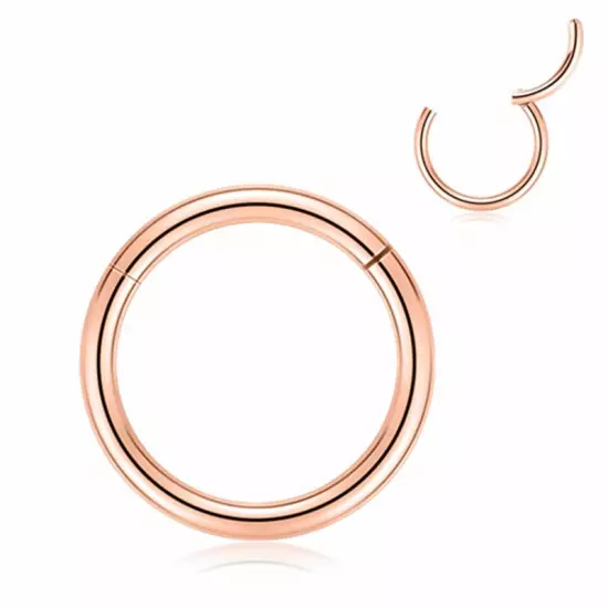 Surgical Steel Hinged Segment Hoop Ring Sleeper Lip Ear Nose Body Piercing 1PC