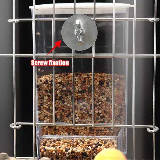 Bird Feeder Cage Accessories Integrated Feeding Viewing Feeders Birds Supplies