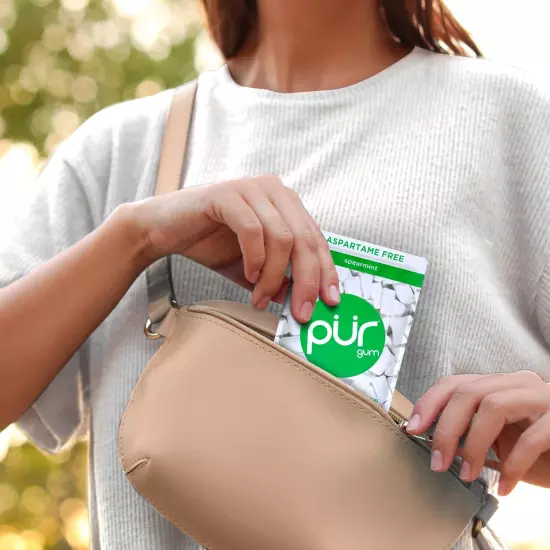 PUR Gum Aspartame Free Chewing Gum 100% Xylitol Natural Spearmint Flavored Gum