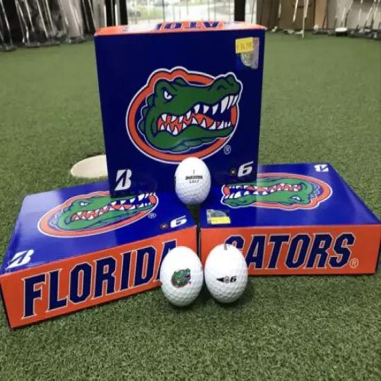 Bridgestone E6 White Golf Balls Brand New 12 Count Retail Box Florida Gators