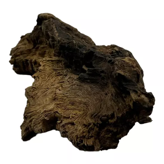 Missouri Ozark Area Driftwood Decor For Aquarium 8½"×5"×3" Swirl Wood Pattern 