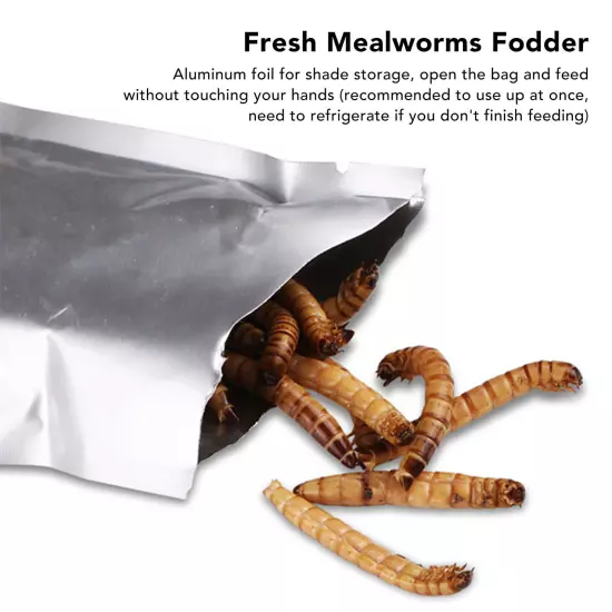 Reptile Mealworms Food Natural Fish Mealworms Fodder For Reptiles Tort AD5