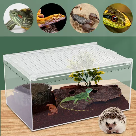 Acrylic Reptile Cage Pet Feeding Tank For Lizard Turtle Insect Breeding Cage