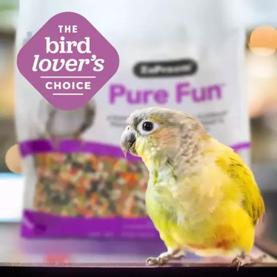 Zupreem Pure Fun Bird Food for Parrots & Conures, 2 Lb - Blend of Fruit, Fruitbl