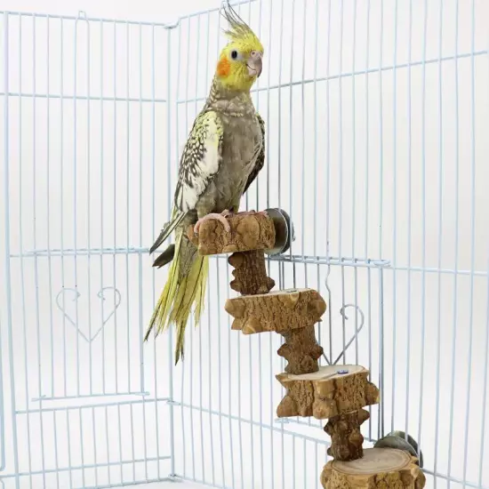 Parakeet Bird Perch Parrot Cockatiel Budgie Conure Toys Large Bird 4 Steps Wo