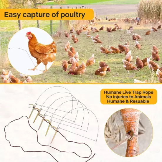 Bird Trap by Tying Birds' Feet Hunting Trap Birds Duck Chicken 00055