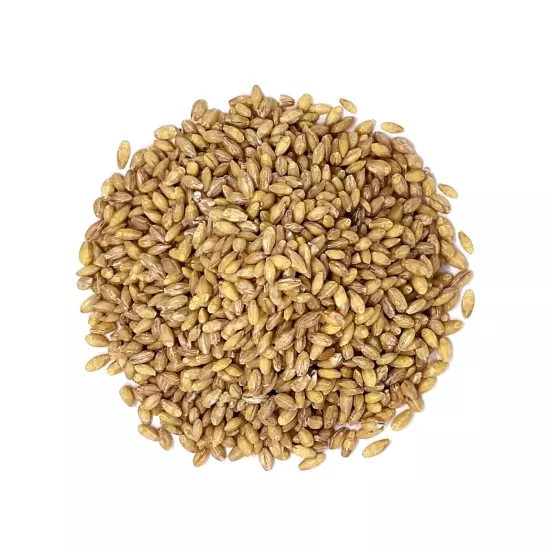 Hulled Barley Grain – 100% Whole Grain, Vegan, Great for Home Baking, Brewing