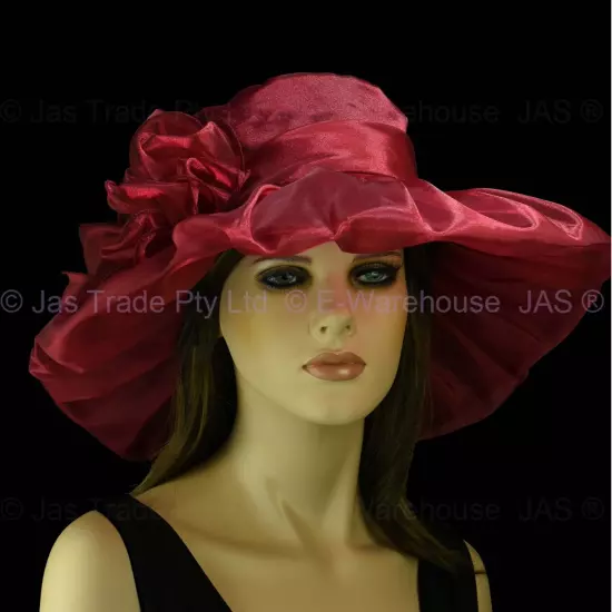 Spring Race Carnival Derby Day Church Wedding Women Ladies Organza Evening Hat