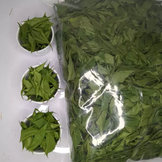 Freshly Picked Dried NEEM LEAVES Ceylon Herbal Pure Organic Premium Quality Herb