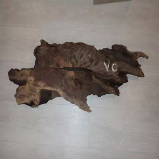 33" x 15" Unique Piece of Wood For Projects Taxidermy Etc. 