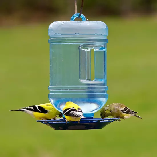 780 Outdoor Hanging Water Cooler Bird Waterer and Dispenser,Blue, 1.5 Qt Capacit