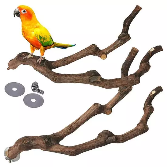 Pet Standing Stick Wild Grape Wood Pole Parrot Parakeet Station Bite Claw Toy