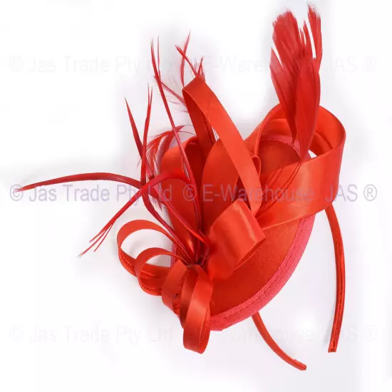 Spring Racing Race Party Melbourne Cup Feather Headband Hairband Clip Fascinator