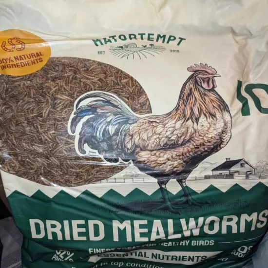 Hatortempt Dried Mealworms 10 lbs Premium Organic Non-GMO for Chickens Feed