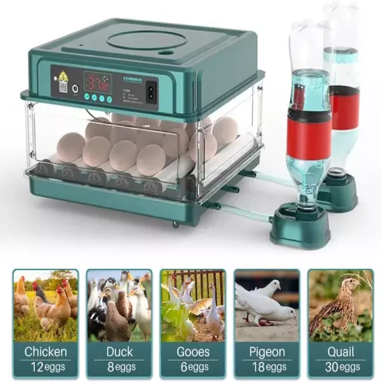 Automatic Egg Incubator 10-130 Egg Digital Poultry Hatcher Machine