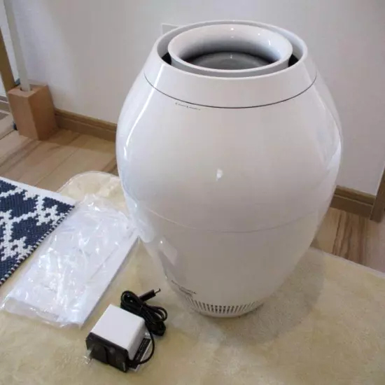 Mint Balmuda ERN-1100SD-WK Humidifier Vaporized Air purification Fan AC100V