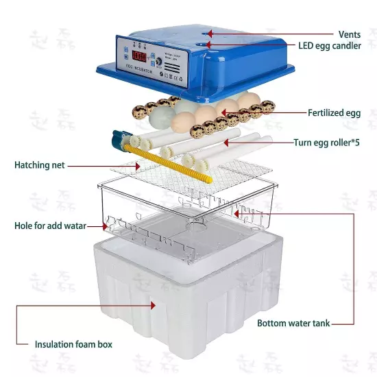 Egg Incubator Automatic Chicken Quail Chick Hatcher Incubators for Hatching Eggs