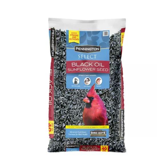 Pennington Select Black Oil Sunflower Seed Dry Wild Bird Feed, 40 lb. Bag, 1 Pac